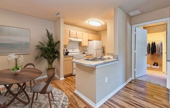 Dominium-Enclave at Pine Oaks-Kitchen